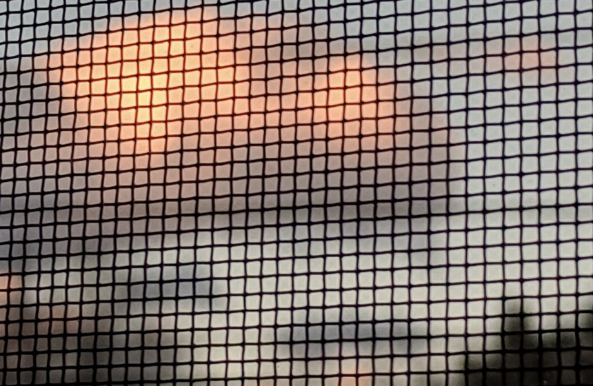 in praise of screen windows