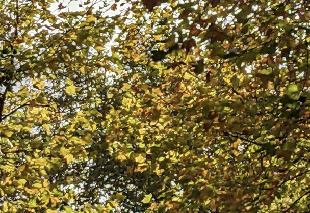 [while walking]